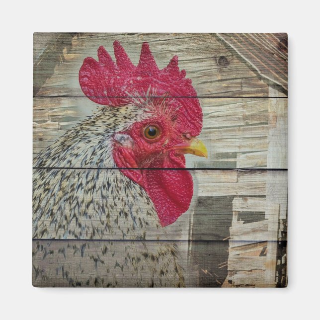 Rooster Rustic Chicken Coop Barn Board Magnet (Front)