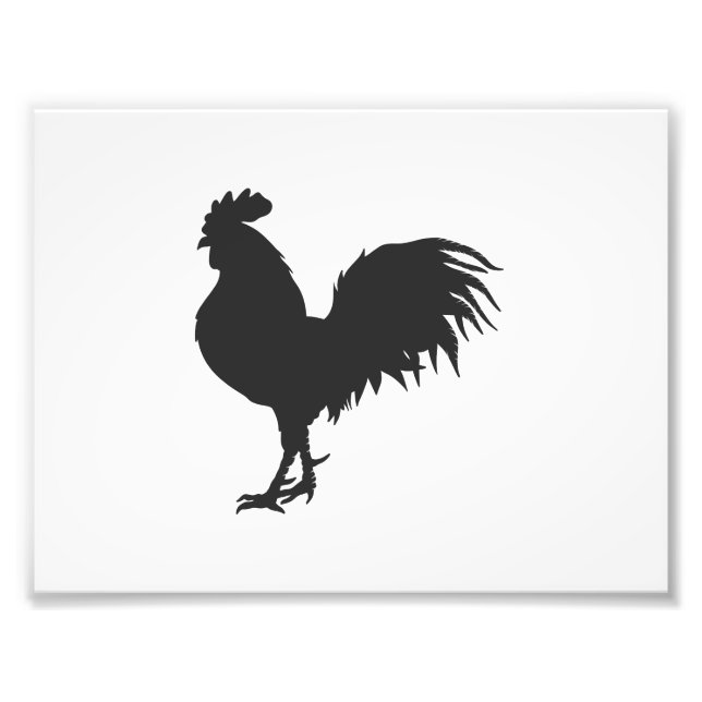 Rooster  silhouette  - Choose background colour Photo Print (Front)
