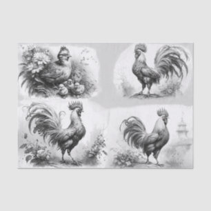 Rooster Sketches Tissue Paper