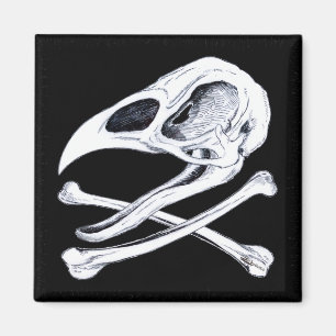 Rooster Skull and Crossbones Magnet