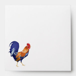 Rooster stripes inside Square Invitation Envelope