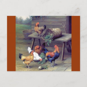 Rooster Turnip Basket Hens Postcard