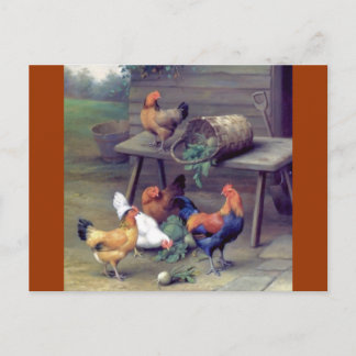 Rooster Turnip Basket Hens Postcard