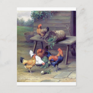 Rooster Turnip Basket Hens Postcard