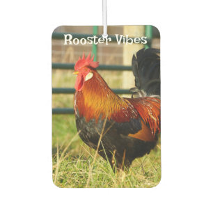 Rooster Vibes / Pigging Out Air Freshener