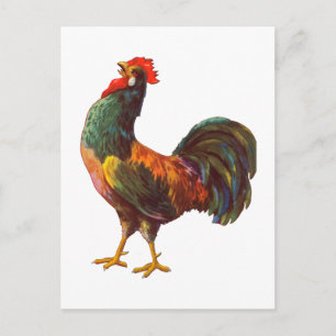 Rooster Vintage Kitchen Crate Art Postcards