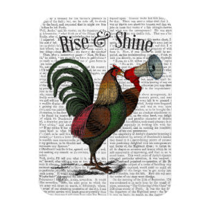 Rooster With Loudhailer 2 Magnet
