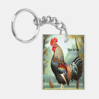 Rooster Wyandotte coloré