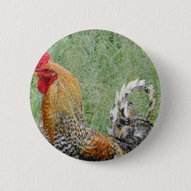 Roosters 2 Inch Round Button (Front)