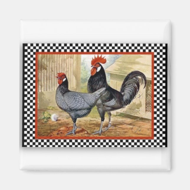 Roosters being Proud Magnet (Front)