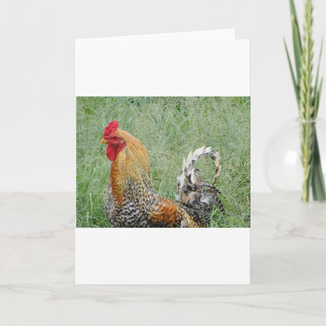 Roosters Card (Front)