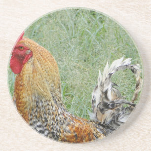 Roosters Coaster