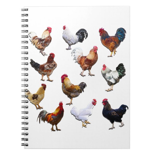 Roosters collage color chicken notebook (Front)