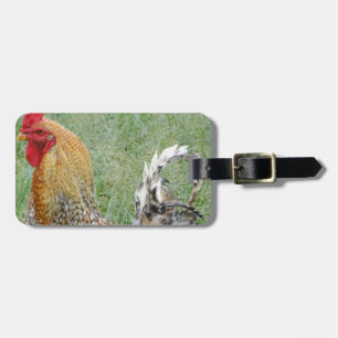 Roosters Luggage Tag