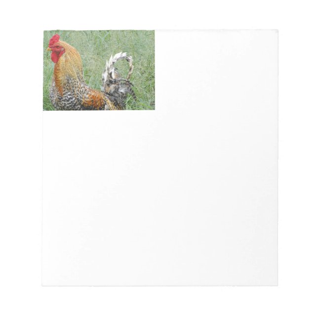 Roosters Notepad (Front)