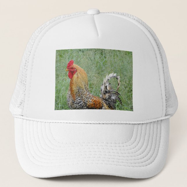 Roosters Trucker Hat (Front)