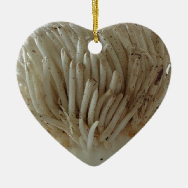 Root of Leek, Vegetables, Healthy Raw White Food Ceramic Ornament (Front)