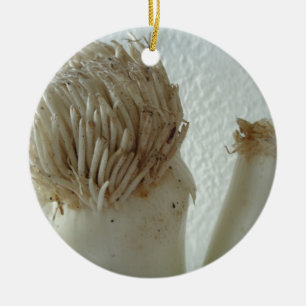 Root of Leek, Vegetables, Healthy Raw White Food Ceramic Ornament