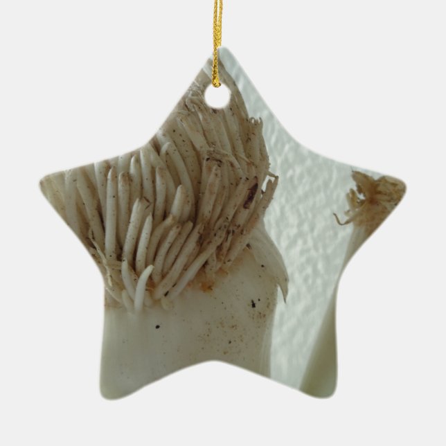 Root of Leek, Vegetables, Healthy Raw White Food Ceramic Ornament (Front)