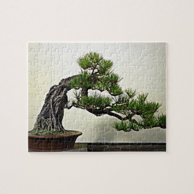 Root Over Rock Pine Bonsai Tree Jigsaw Puzzle (Horizontal)