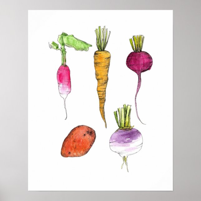 Root Vegetables Watercolor Ink Kitchen Art Poster (Front)