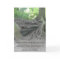 Rooted Strength Tree Encouragement Greeting Card