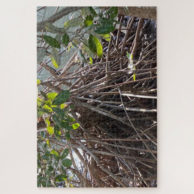 Roots Alaminos Mangrove Jigsaw Puzzle (Vertical)