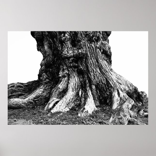 Roots Poster (Front)