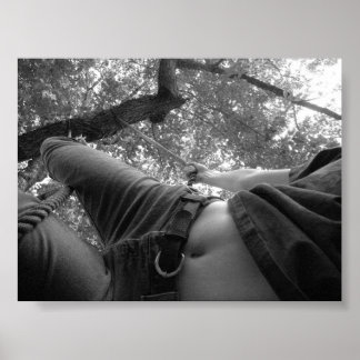 Rope Swing Poster