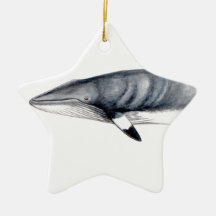 Rorcual aliblanco Christmas adornment Minke whale