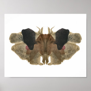 Rorschach Inkblot Test. Don't Call Me Crazy Poster