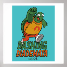 ROS Dashing Diademata Release Poster