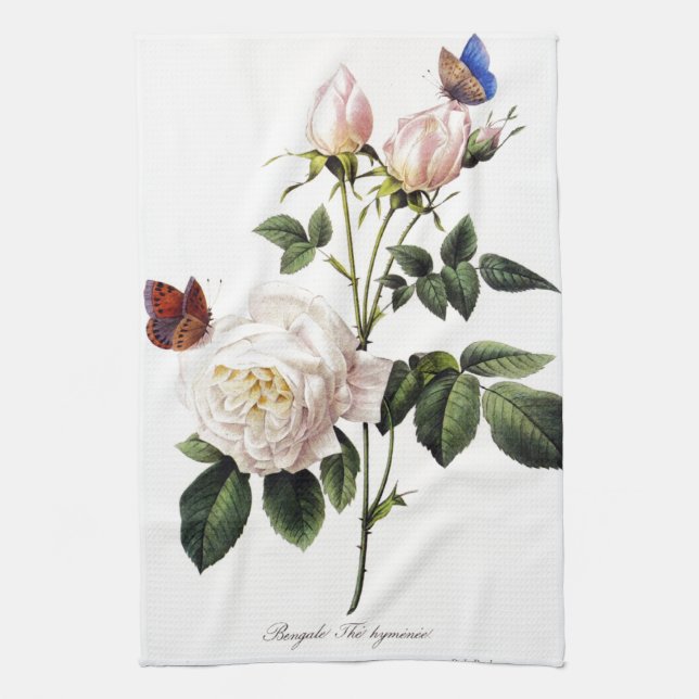 Rosa Bengale - Pierre Joseph Redouté. Kitchen Towel (Vertical)