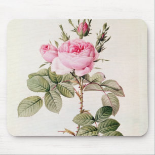 Rosa Bifera Officinalis, from 'Les Roses' Mouse Pad