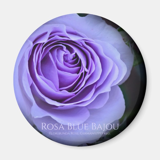 Rosa Blue Bajou Magnet (Front)
