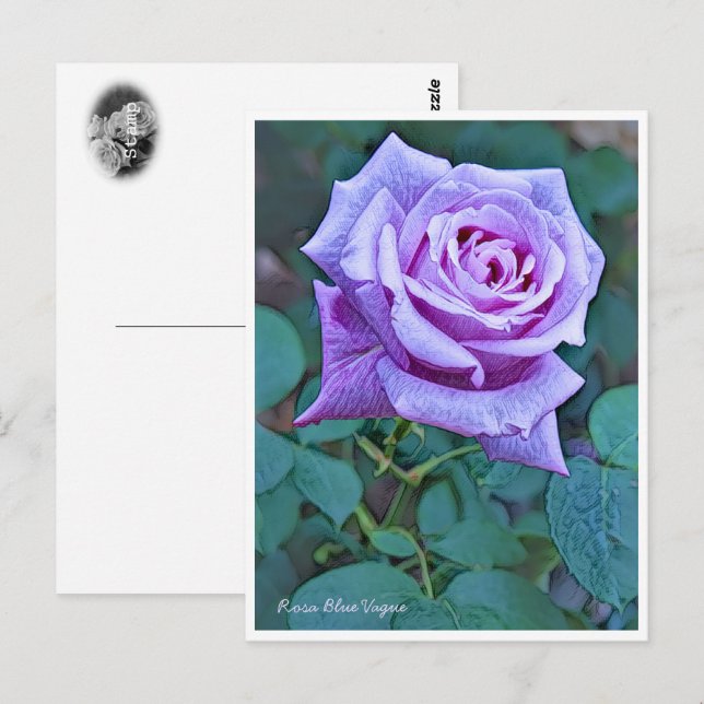 Rosa Blue Vague Postcard (Front/Back)