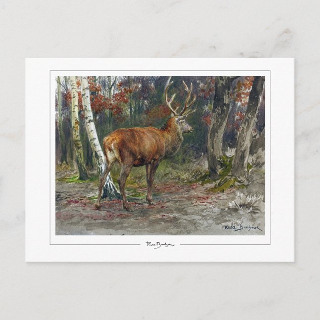 Rosa Bonheur #135 - Fine Art Postcard (Front)