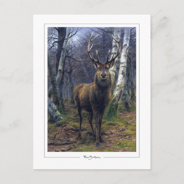 Rosa Bonheur #5 - Fine Art Postcard (Front)