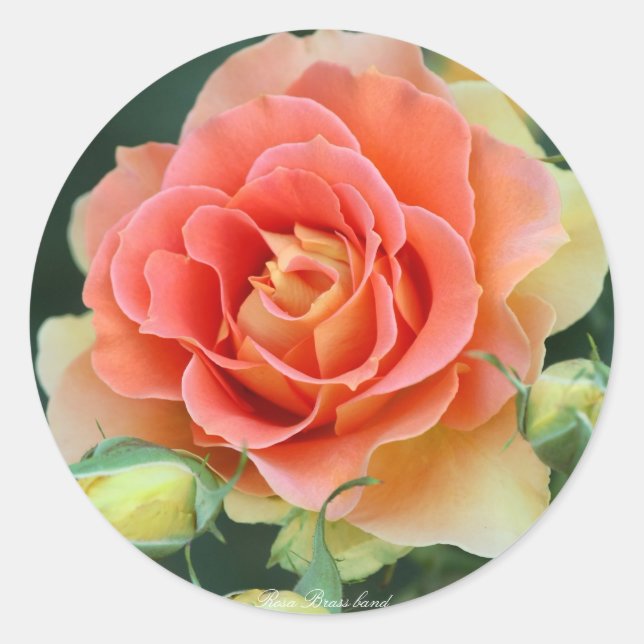 Rosa Brass band Classic Round Sticker (Front)