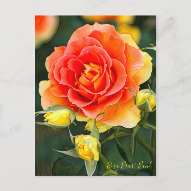 Rosa Brass Band [Postcard] Postcard (Front)