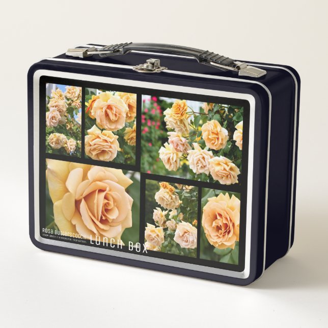 Rosa Butterscotch Metal Lunch Box (Front)