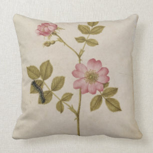 Rosa Canina - Dogrose and Caterpillar (pencil & w/ Throw Pillow