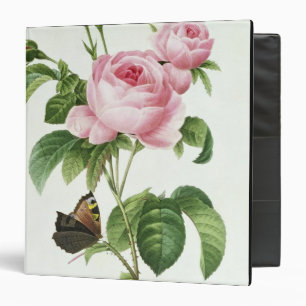 Rosa Centifolia Binder