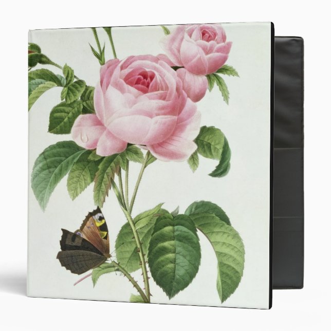 Rosa Centifolia Binder (Front/Inside)