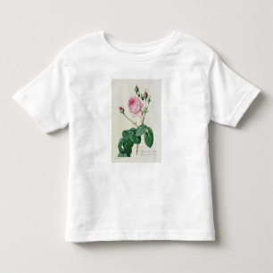 Rosa Centifolia Bullata Toddler T-shirt