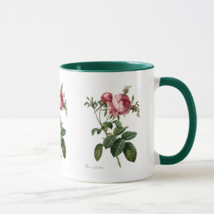 Rosa centifolia foliacea mug