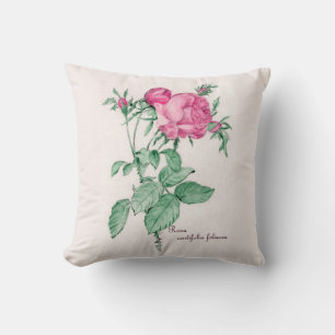 Rosa Centifolia Foliacea Throw Pillow