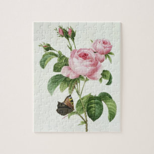 Rosa Centifolia Jigsaw Puzzle