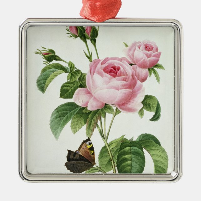 Rosa Centifolia Metal Ornament (Front)