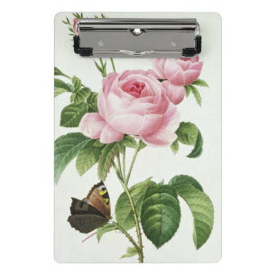 Rosa Centifolia Mini Clipboard
